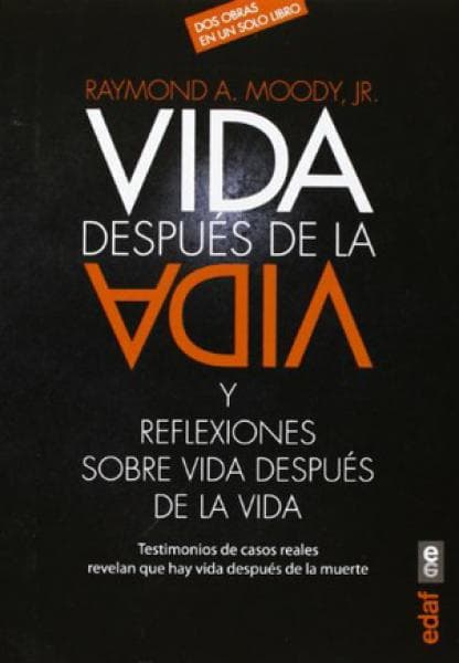 VIDA DESPUES DE LA VIDA Y REFLECCIONES S