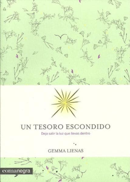 UN TESORO ESCONDIDO