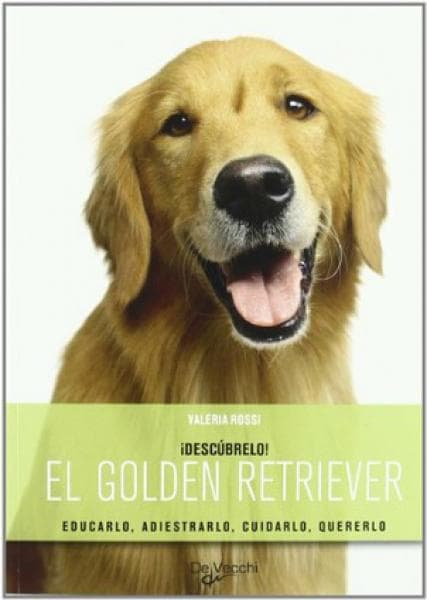 DESCUBRELO EL GOLDEN RETRIEVER