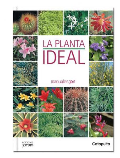 LA PLANTA IDEAL