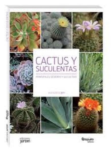 CACTUS Y SUCULENTAS