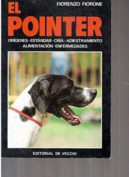 EL POINTER