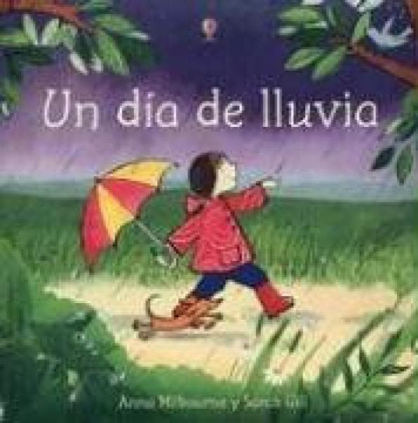 UN DIA DE LLUVIA