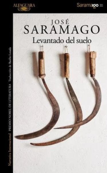 LEVANTADO DEL SUELO