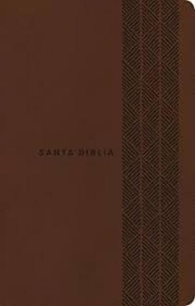 BIBLIA NUEV TRADUCCION VIVIENTE - MARRON