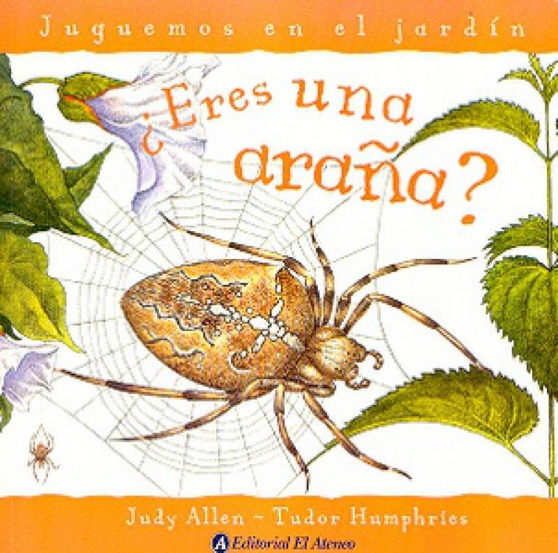 ERES UNA ARAÑA?