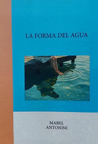 LA FORMA DEL AGUA