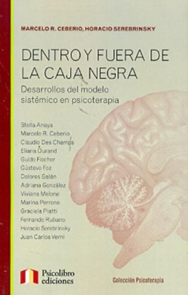 DENTRO Y FUERA DE LA CAJA NEGRA