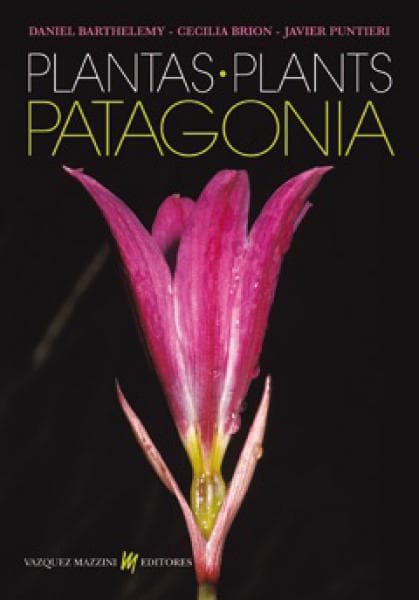 PLANTAS PATAGONIA - BILINGUE