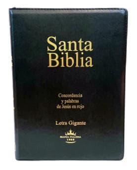 SANTA BIBLIA - LETRA GIGANTE C/CIERRE