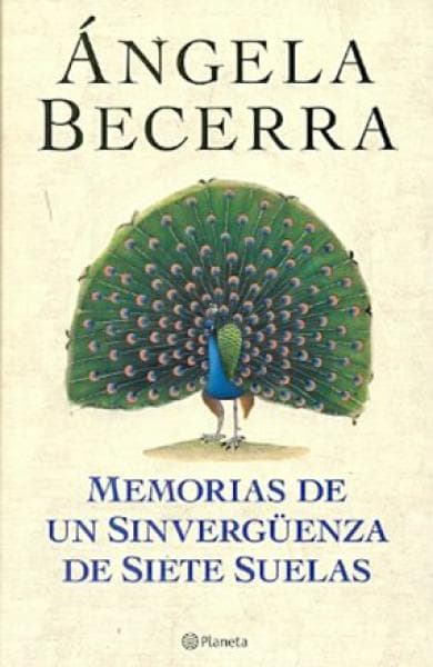 MEMORIAS DE UN SINVERGUENZA DE SIETE SUE