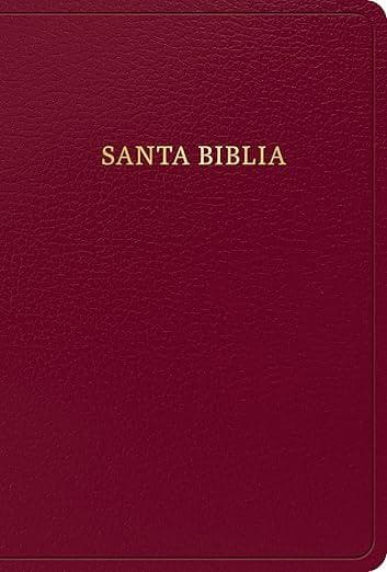 BIBLIA REINA VALERA 1960 BORGONA
