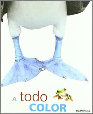 A TODO COLOR