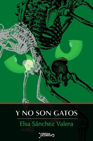 Y NO SON GATOS