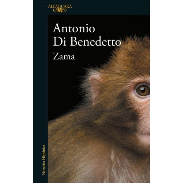 ZAMA