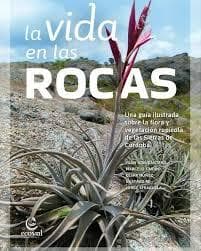 VIDA EN LAS ROCAS, LA