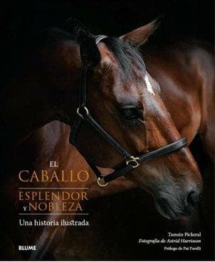 CABALLO - ESPLENDOR Y NOBLEZA, EL