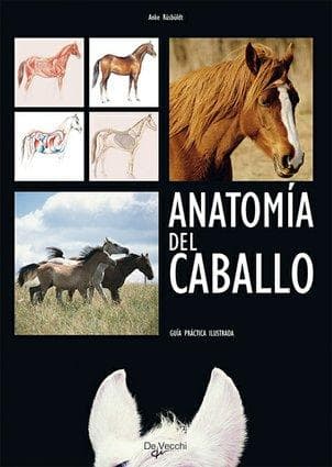 ANATOMIA DEL CABALLO