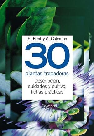 30 PLANTAS TREPADORAS
