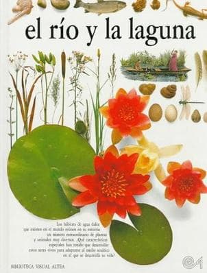 RIO Y LA LAGUNA, EL