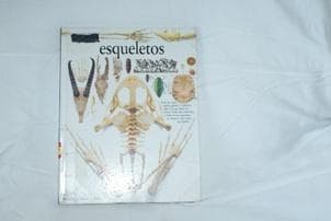 ESQUELETOS
