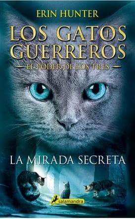 MIRADA SECRETA, LA