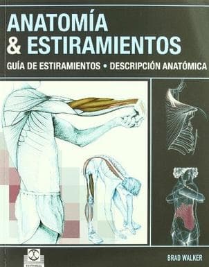 ANATOMIA Y ESTIRAMIENTOS
