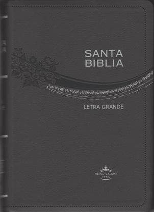 SANTA BIBLIA REINA-VALERA 1960 GRIS