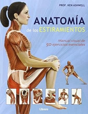 ANATOMIA DE LOS ESTIRAMIENTOS