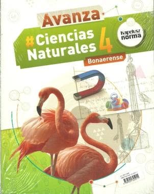 NATURALES 4 (AVANZA) BON.2017