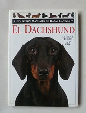 DACHSHUND, EL