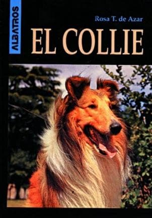 COLLIE, EL