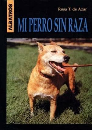 MI PERRO SIN RAZA
