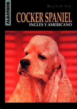 COCKER SPANIEL:INGLES Y AMERICANO