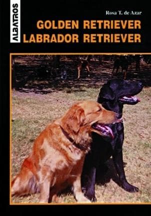 GOLDEN RETRIEVER-LABRADOR RETRIEVER