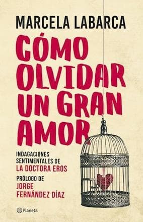 COMO OLVIDAR UN GRAN AMOR