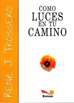 COMO LUCES EN TU CAMINO - REFLEXION
