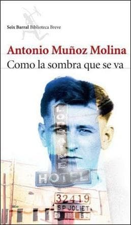 COMO LA SOMBRA QUE SE VA