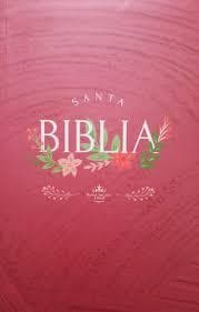 SANTA BIBLIA REINA-VALERA 1960 TAPA ...