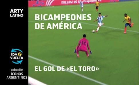 BICAMPEONES DE AMERICA