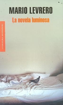 NOVELA LUMINOSA, LA