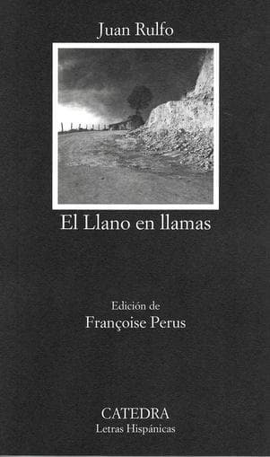 LLANO EN LLAMAS, EL