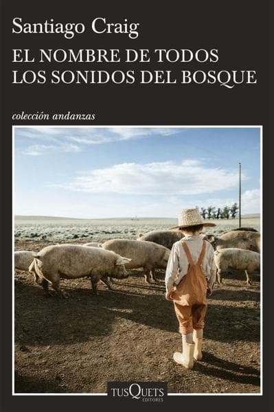 NOMBRE DE TODOS LOS SONIDOS DEL ...