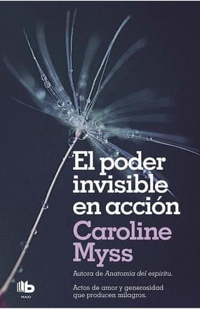 PODER INVISIBLE EN ACCION, EL