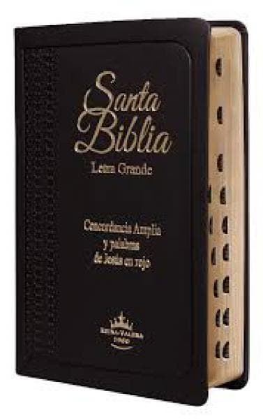 BIBLIA REINA VALERA 1960 LETRA GRANDE