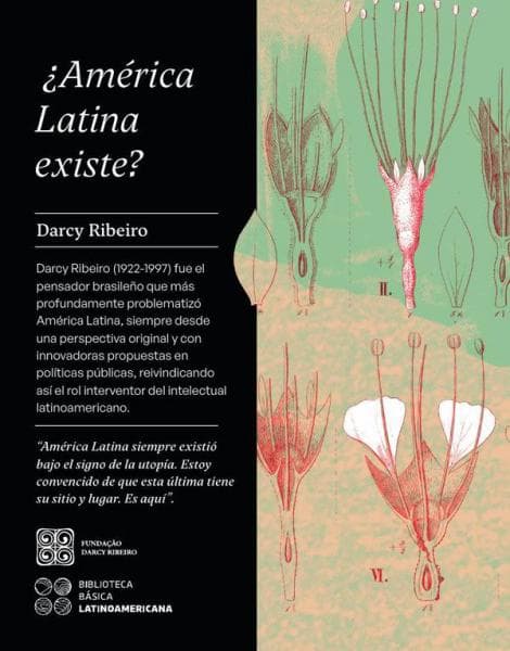 ¿AMERICA LATINA EXISTE?