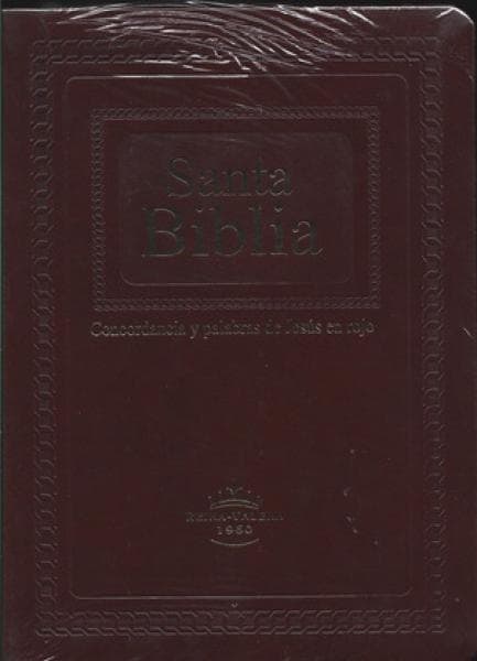 SANTA BIBLIA - LETRA GIGANTE C/UÑERO