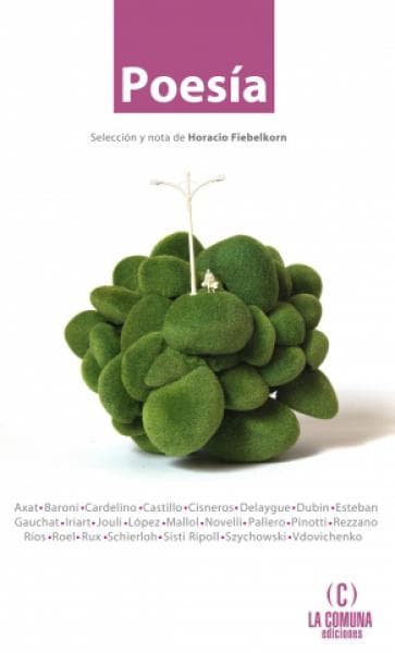 POESIA - SELECCION DE HORACIO FIEBELKORN