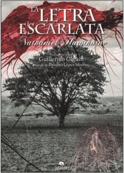 LA LETRA ESCARLATA (ARTE Y LETRAS)
