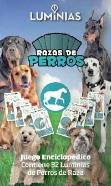 LUMINIAS - RAZA DE PERROS ( CARTAS )